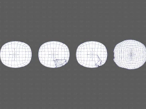 Teeth Cartoon V03 3D Model