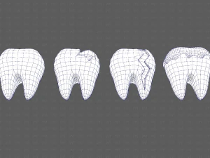 Teeth Cartoon V03 3D Model