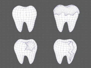 Teeth Cartoon V03 3D Model