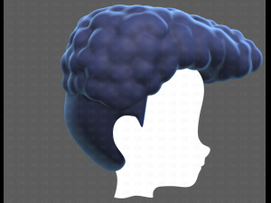Base Hair for Boy V58 Modèle 3D