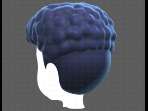 Base Hair for Boy V58 Modèle 3D