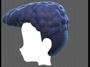 Base Hair for Boy V58 Modèle 3D