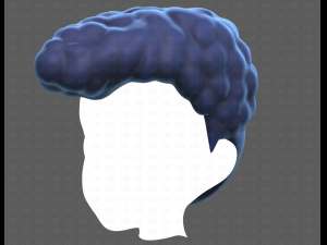 Base Hair for Boy V58 Modèle 3D