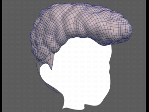Base Hair for Boy V58 Modèle 3D