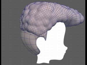 Base Hair for Boy V58 Modèle 3D