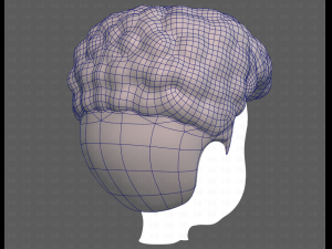 Base Hair for Boy V58 Modèle 3D