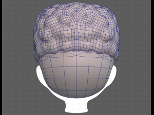 Base Hair for Boy V58 Modèle 3D