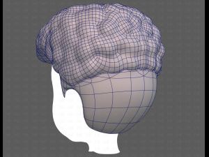 Base Hair for Boy V58 Modèle 3D