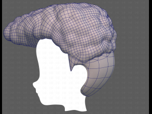 Base Hair for Boy V58 Modèle 3D