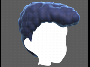 Base Hair for Boy V58 Modèle 3D