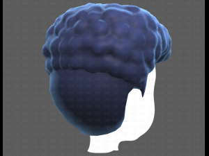 Base Hair for Boy V58 Modèle 3D