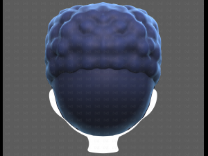 Base Hair for Boy V58 Modèle 3D
