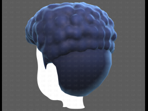 Base Hair for Boy V58 Modèle 3D