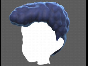 Base Hair for Boy V58 Modèle 3D