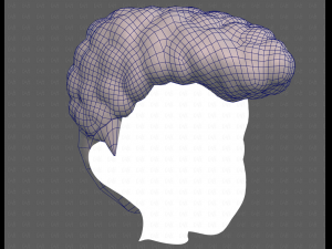Base Hair for Boy V58 Modèle 3D
