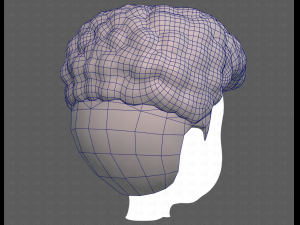 Base Hair for Boy V58 Modèle 3D