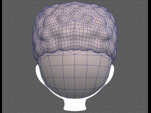 Base Hair for Boy V58 Modèle 3D