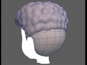 Base Hair for Boy V58 Modèle 3D