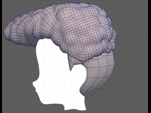 Base Hair for Boy V58 Modèle 3D
