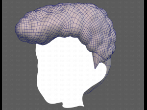 Base Hair for Boy V58 Modèle 3D