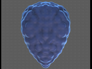 Base Hair for Boy V58 Modèle 3D