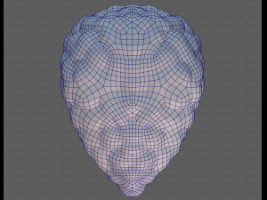 Base Hair for Boy V58 Modèle 3D