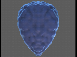 Base Hair for Boy V58 Modèle 3D