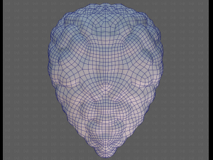 Base Hair for Boy V58 Modèle 3D