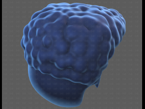 Base Hair for Boy V58 Modèle 3D