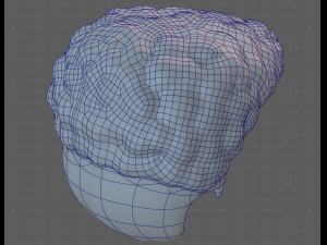 Base Hair for Boy V58 Modèle 3D