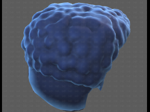 Base Hair for Boy V58 Modèle 3D