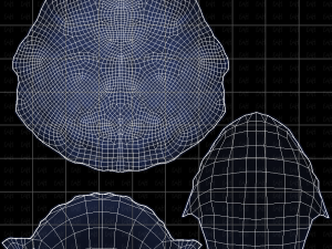 Base Hair for Boy V58 Modèle 3D