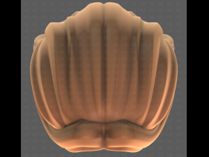 Base Hair for girl V58 3D Model