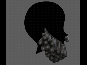 Beard V58 3D Model