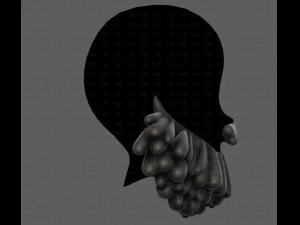 Beard V58 3D Model