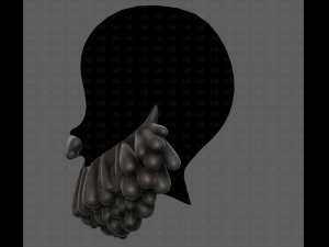 Beard V58 3D Model