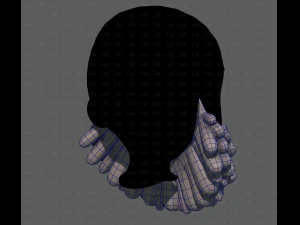 Beard V58 3D Model
