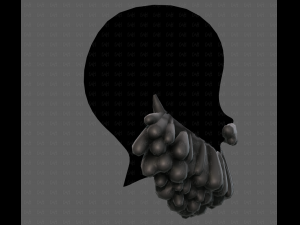 Beard V58 3D Model