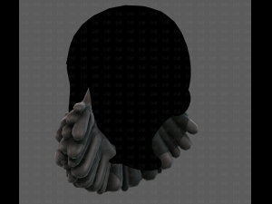 Beard V58 3D Model