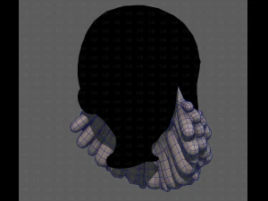 Beard V58 3D Model