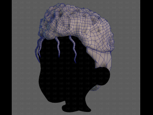 3D Hair style for boy V118 Model 3D