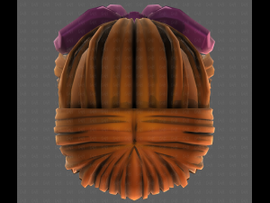 3D Hair style for girl V118 3D-Modell