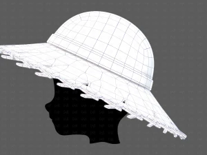 कैप V65 3D मॉडल