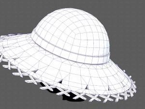 कैप V65 3D मॉडल