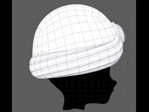 Cap V66 3D Model