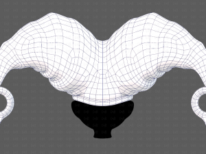 Cap V67 3D Model