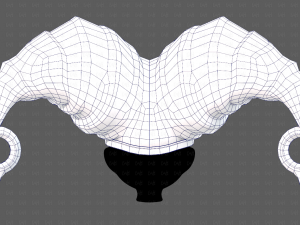 Cap V67 3D Model