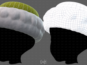 Cap V70 Modelo 3D