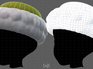 Bon&eacute; V70 Modelo 3D