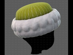 Cap V70 3D-Modell